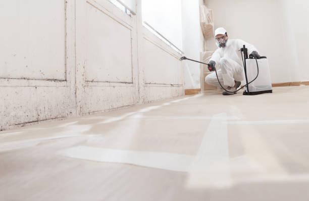 24/7 Emergency Mold Inspection experts in Princeton, TX
